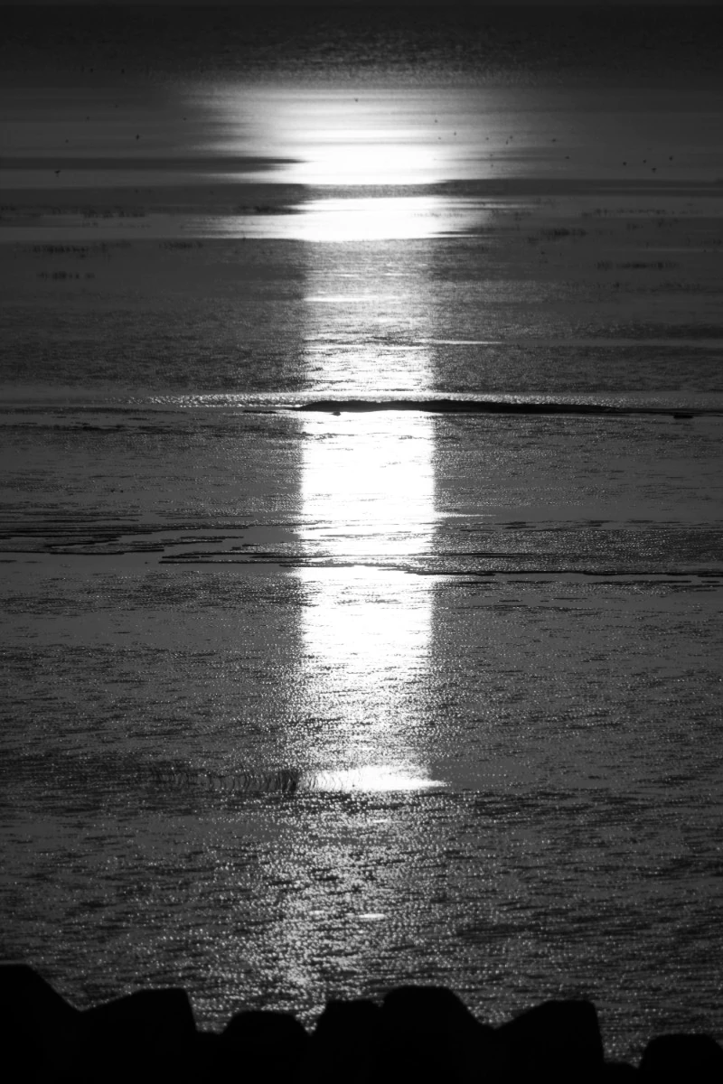 Sun rising over the sea